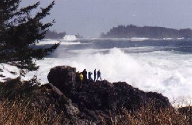 99amp_wave2_278X181.jpg (14925 bytes)