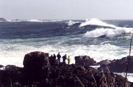 99winter_storms3_278x185.jpg (15508 bytes)