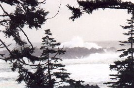 99winter_storms_278x185.jpg (19491 bytes)