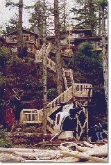 Click Here for larger Image (21729 bytes)