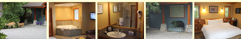 Forest View King Room Rowland