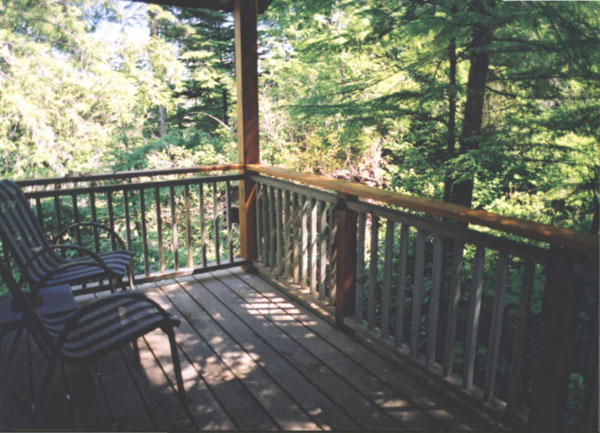 Forest View from A Snug Harbour Inn